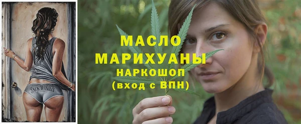 spice Инта
