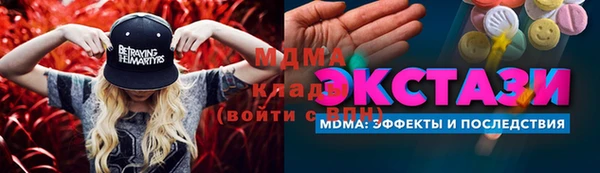 spice Инта