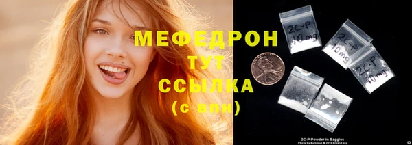 spice Инта