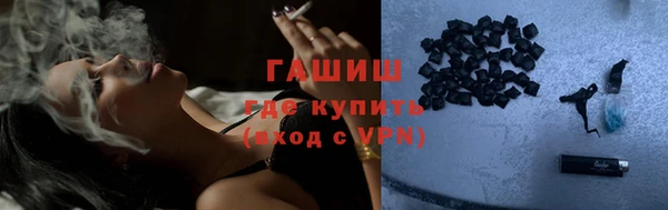spice Инта