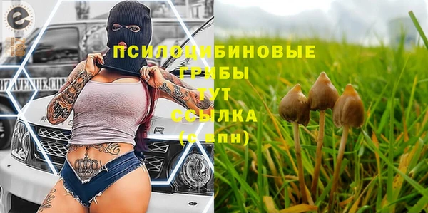 дмт Иннополис
