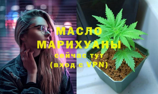 spice Инта
