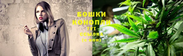 дмт Иннополис