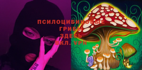 дмт Иннополис