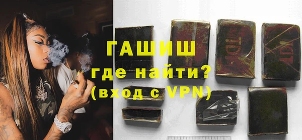 spice Инта